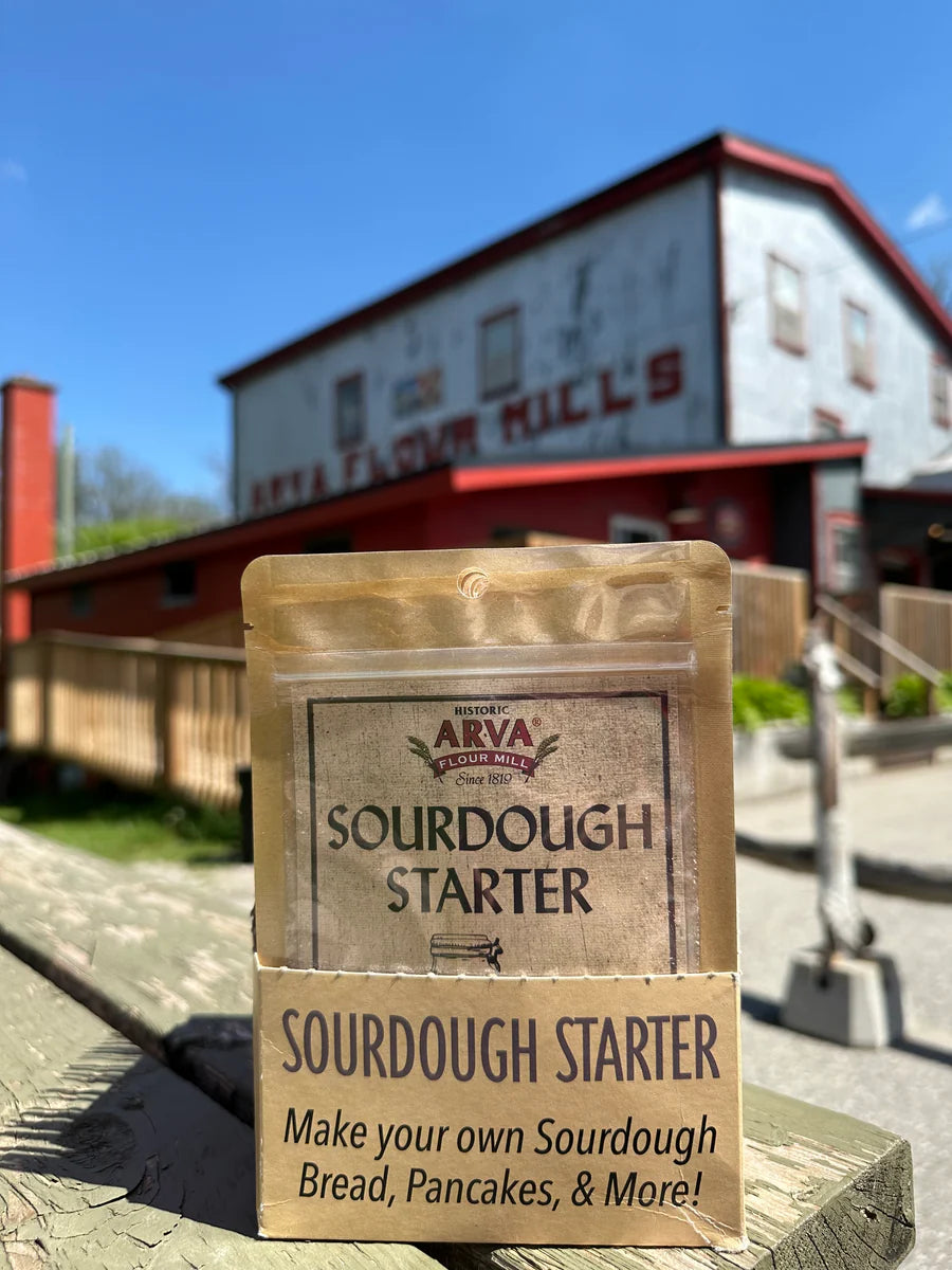 Arva Sourdough Bread Starter 10/15g