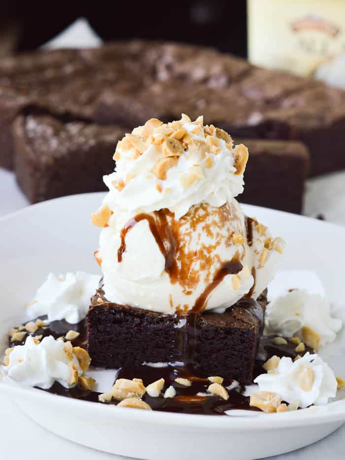 McLean Brownie Hot Fudge Sundae Topping 5/1LT