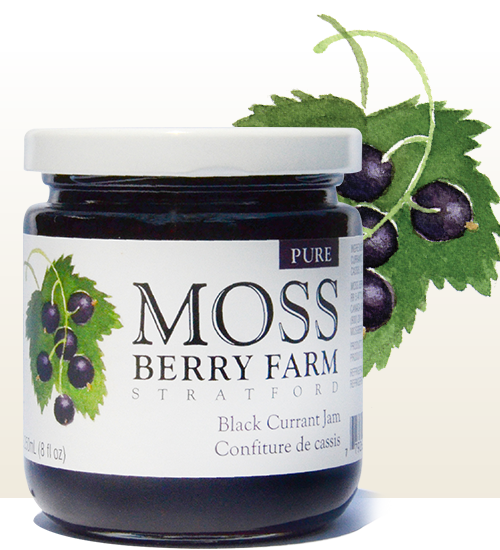 Moss Bery Farm Black Currant Jam 12/250ml