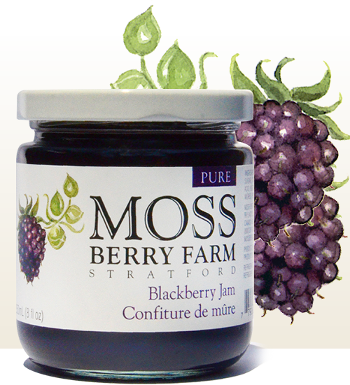 Moss Berry Farm Blackberry Jam 12/250ml
